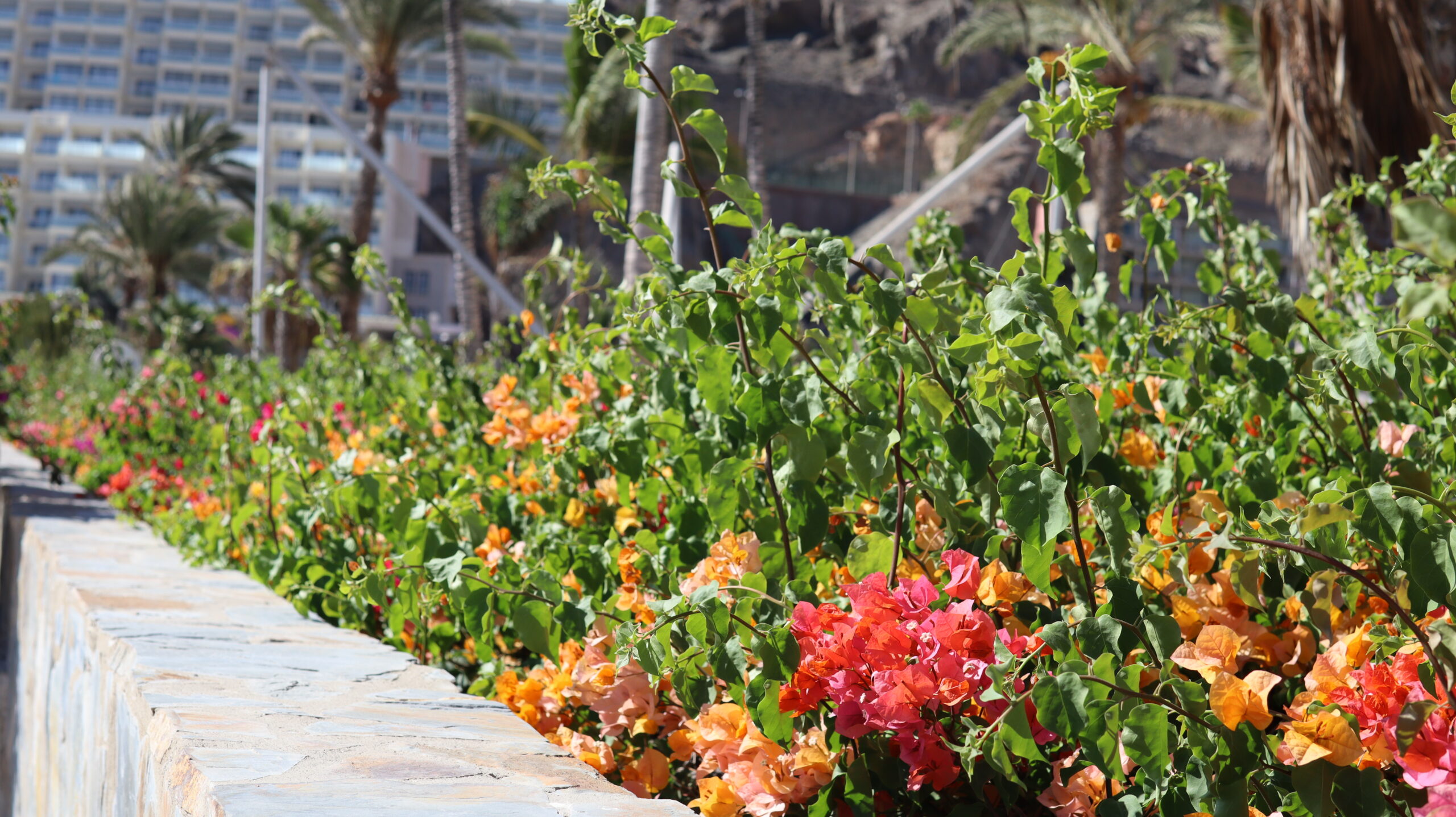 Gran Canaria 2023 – Day 7